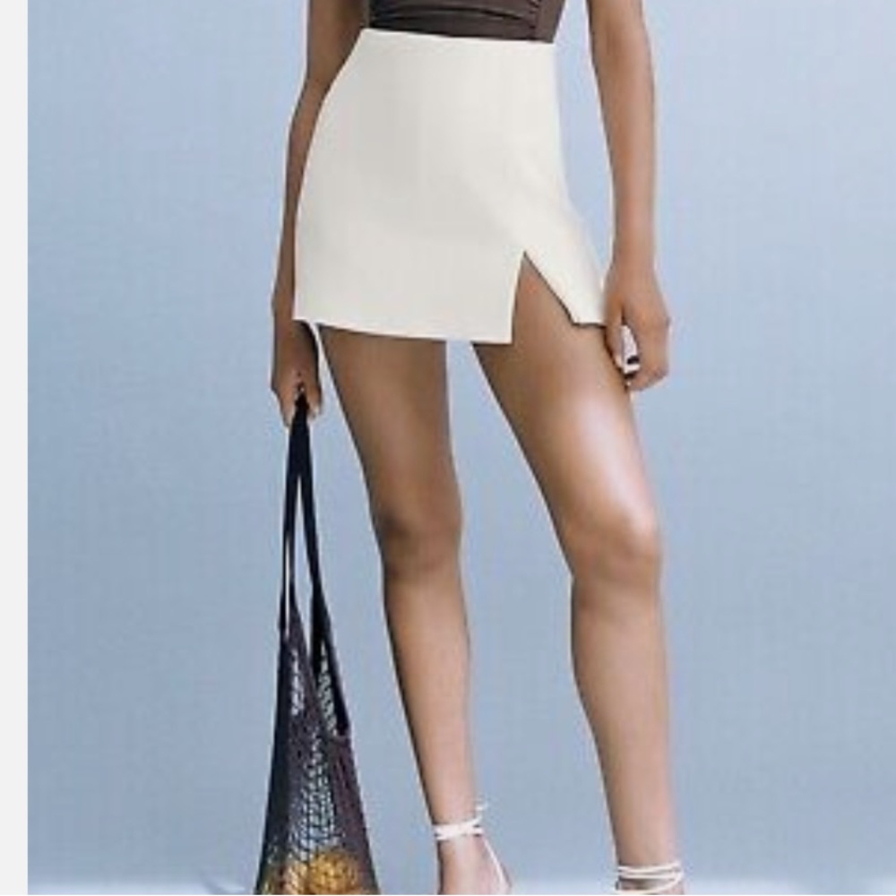 ZARA skirt